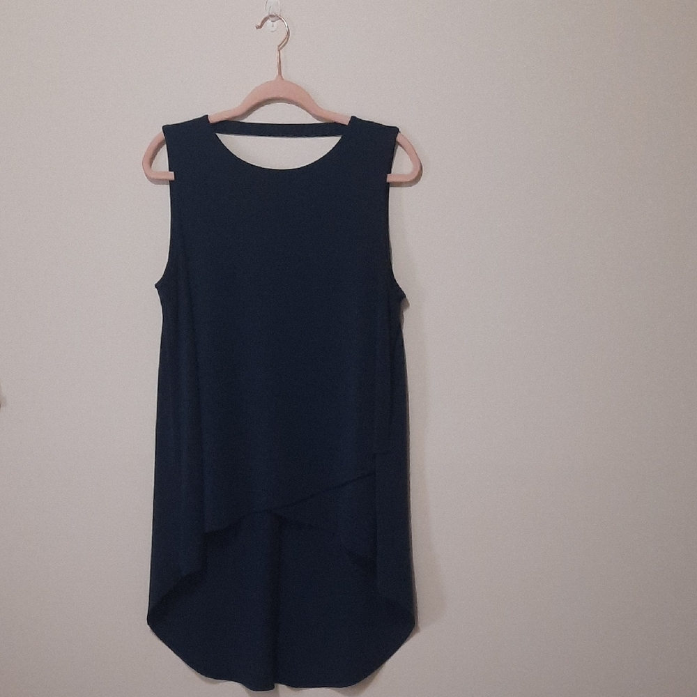 Express Dark Navy Layered Sleeveless Tunic